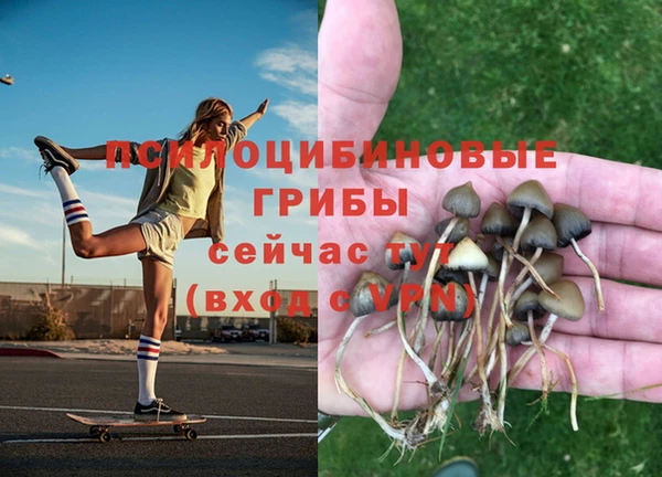 СК Алексеевка
