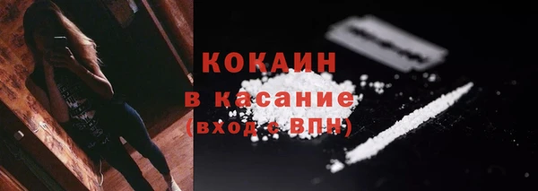 стаф Россошь